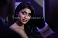 Shriya saran  sexy cleavage show in saree sexy photo