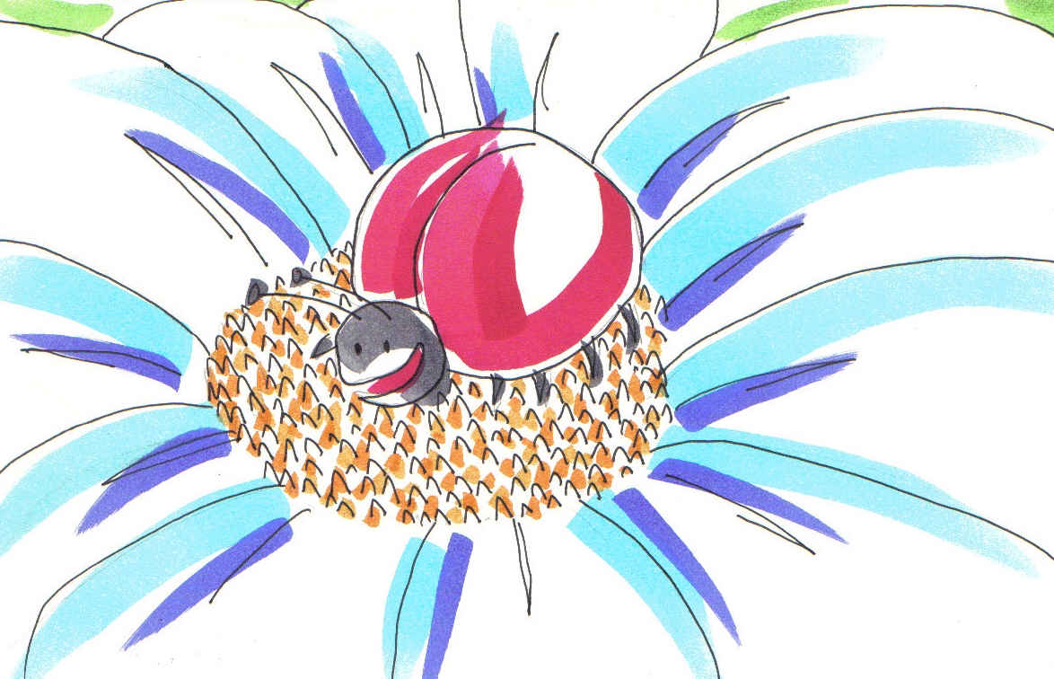 La mariquita sin manchas | Cuentos infantiles cortos