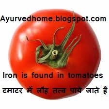 Iron Is Found In Tomatoes  टमाटर में लौह तत्व पाये जाते है   Tamatar Mein Loh Tatav Paaye Jaate Hai