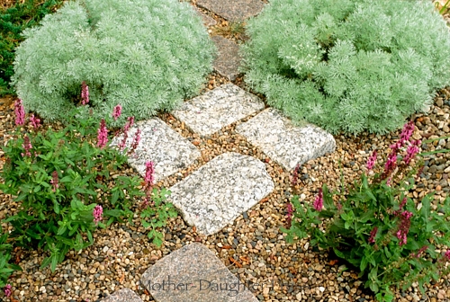 Paths--A new interactive series of discussion and writing ~ Mother