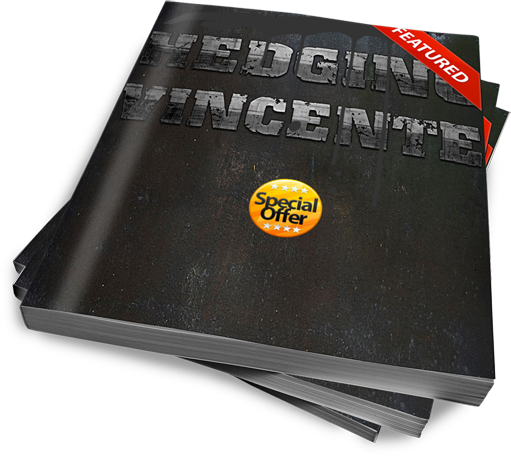 Strategia forex hedging
