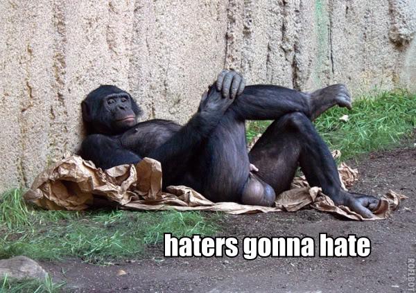 [Image: haters-gonna-hate-monkey-cross.jpg]