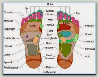 Chinese Reflexology