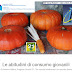 Questionario sui consumi dei giovani.