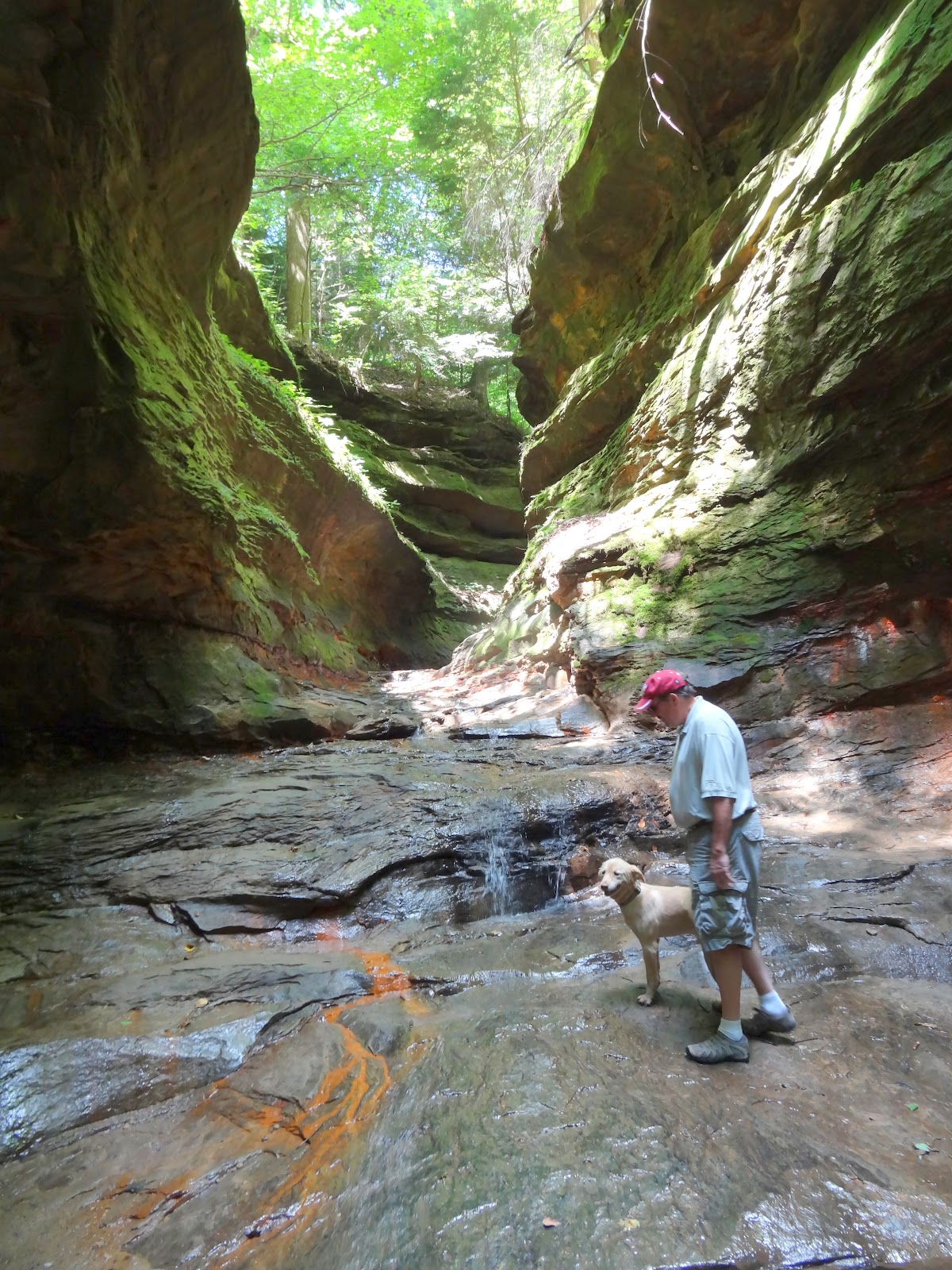 Life at the Blue Rock Ranch Turkey Run State Park