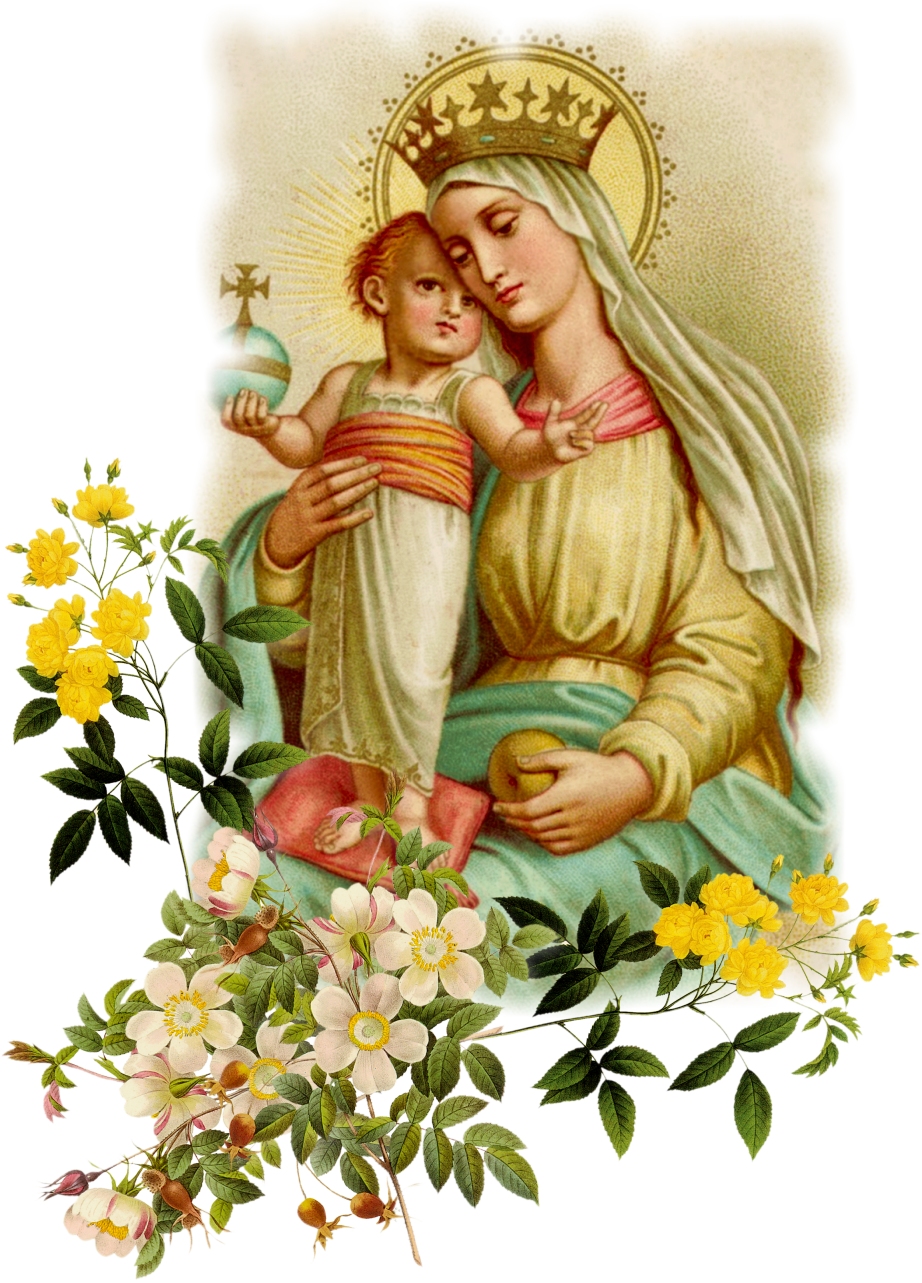 http://4.bp.blogspot.com/-K4IIMmcjlH0/UbvZZ_4E1vI/AAAAAAABCHY/slGG6vzMzT0/s1600/rita-regina+(2).jpg