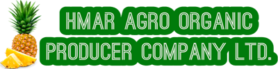 Hmar Agro Organic Producer Company Limited