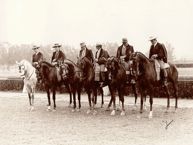 DOMA VAQUERA DE CABALLOS doma vaquera de caballos: