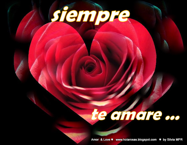 rosa de amor,