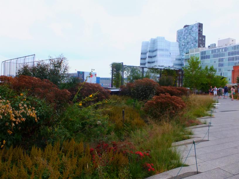 Alternative Eden Exotic Garden: The New York High Line