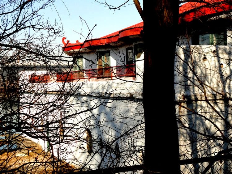 RETRO KIMMER'S BLOG HARRY PAGODA HOUSE!