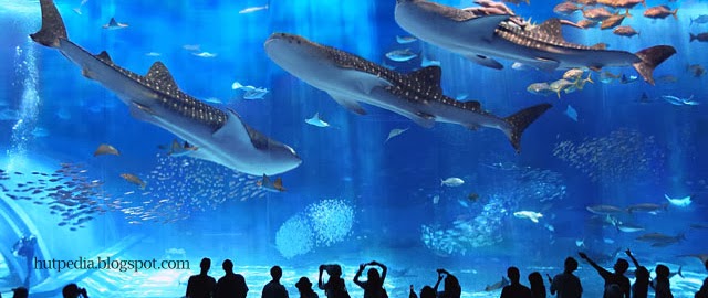 world largest aquarium tank