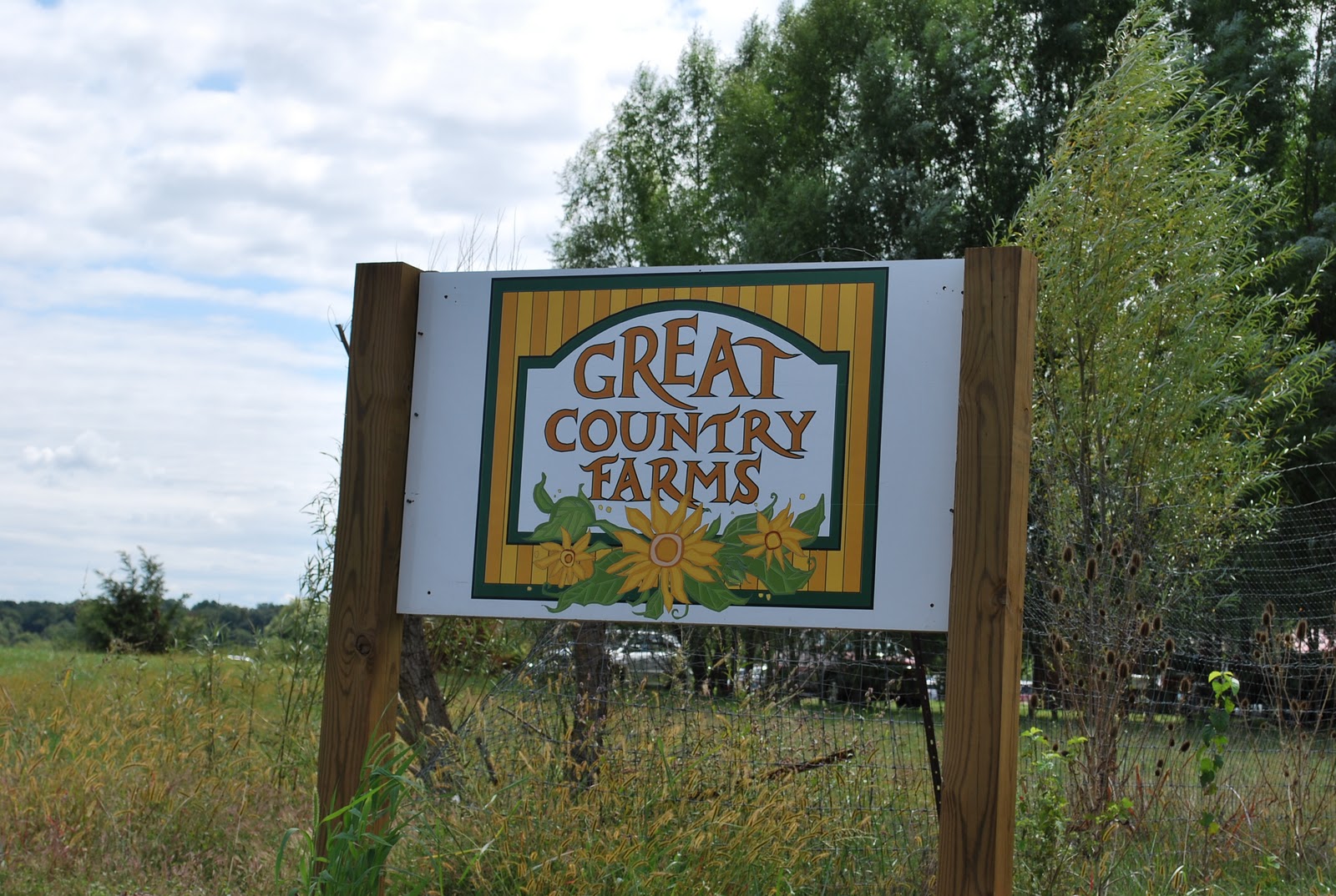 The Next Best Thing..... Great Country Farms in Bluemont, VA!