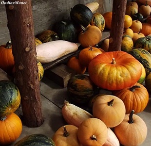 October Harvest