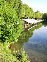 Bar sur Aube : Route du ChaMpagne