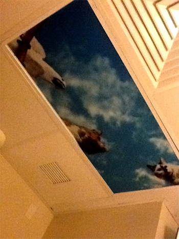 A New Me - Relating to Cancer: Pet Scan Adventures