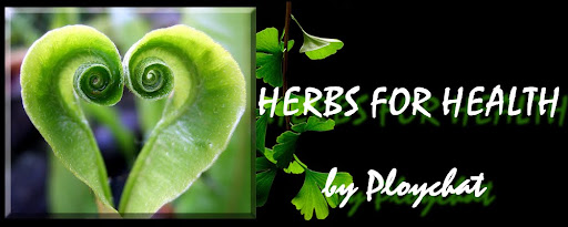HERBS FOR HEALTH