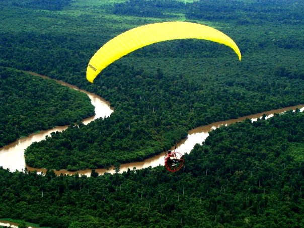 Greenpeace Serukan Penyelamatan Hutan Papua