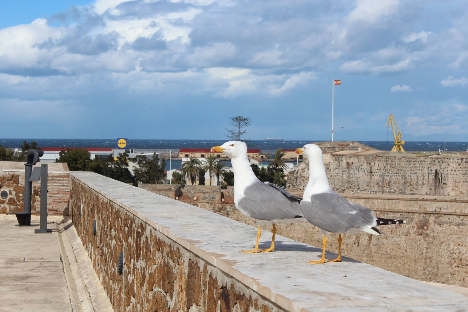 north's beauty (Ceuta, Spain) located in Morocco's land