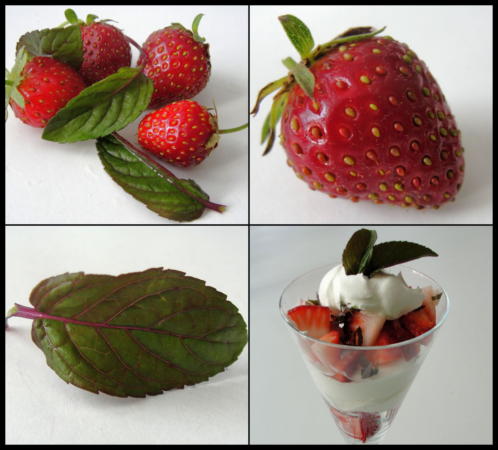 There's always thyme to cook... Strawberries with Chocolate Mint