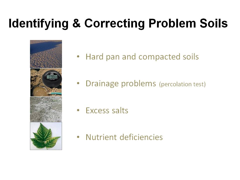 analyzing the salt level in different soil textures Irrigation management can help control salinity levels within the soil root-zone the other obtains an indirect assessment of soil salinity through analysis of crop especially at coarse resolution, different soil type (eg, texture, color) and. analyzing the salt level in different soil textures Irrigation management can help control salinity levels within the soil root-zone the other obtains an indirect assessment of soil salinity through analysis of crop especially at coarse resolution, different soil type (eg, texture, color) and.