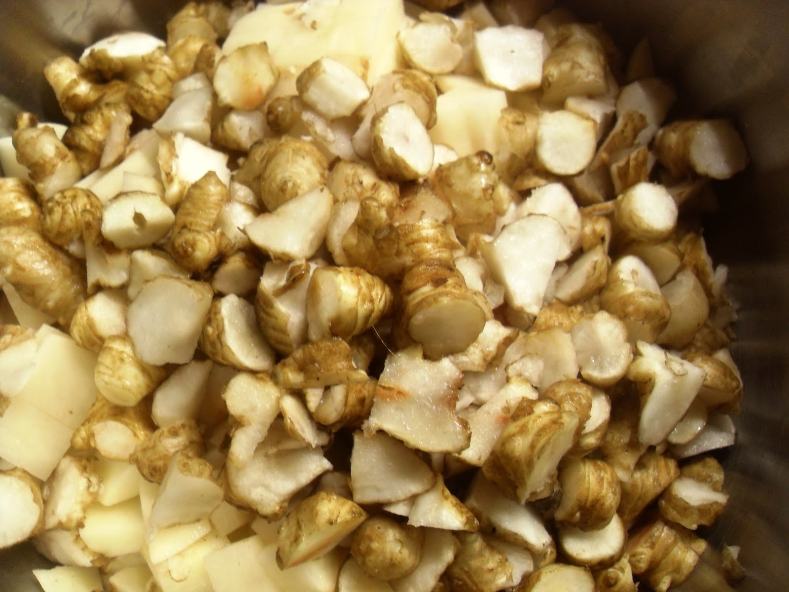 The Scientific Gardener The Jerusalem Artichoke (Helianthus tuberosus)