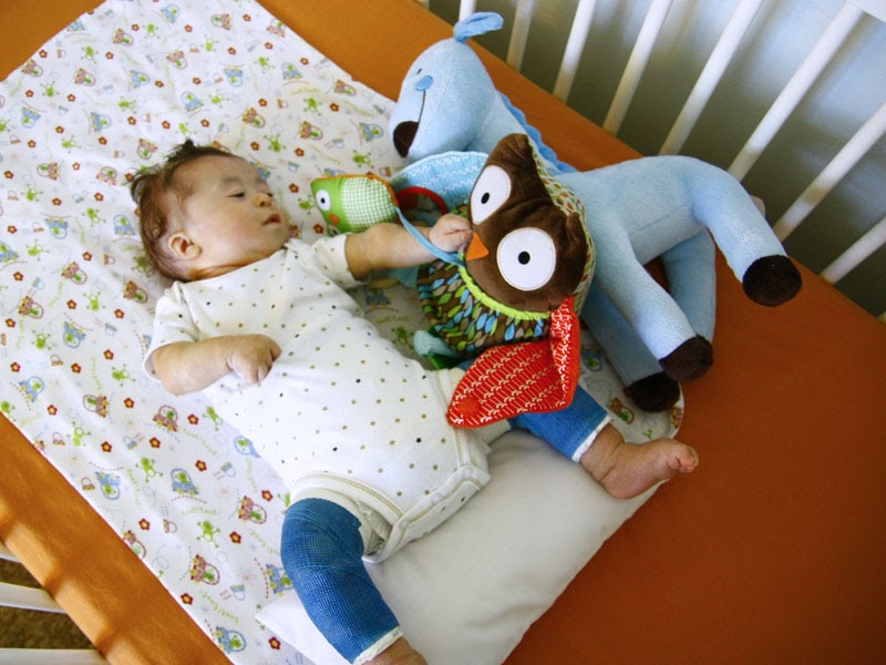 wandering nancy Hip Dysplasia Update