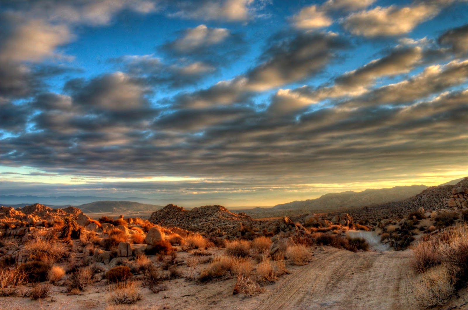 UNIQUELY JOSHUA TREE Storm Clouds on the Mojave Desert