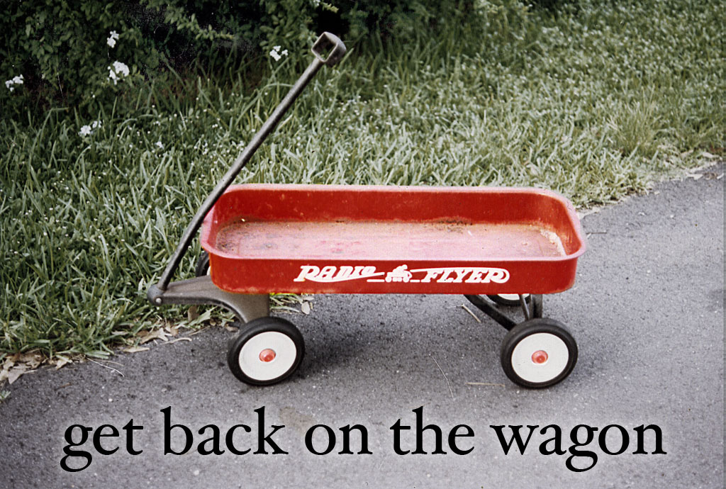 Free Ideas Back on the Blogging Wagon