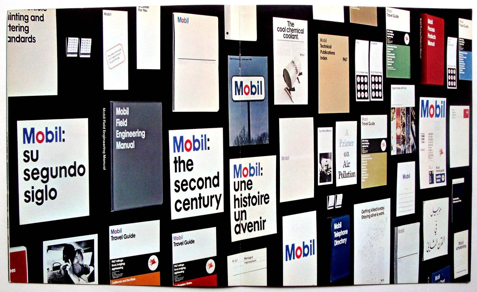 What is my identity essay picture