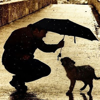 Rumi Quotes on Love and Humanity | Kalam e Rumi