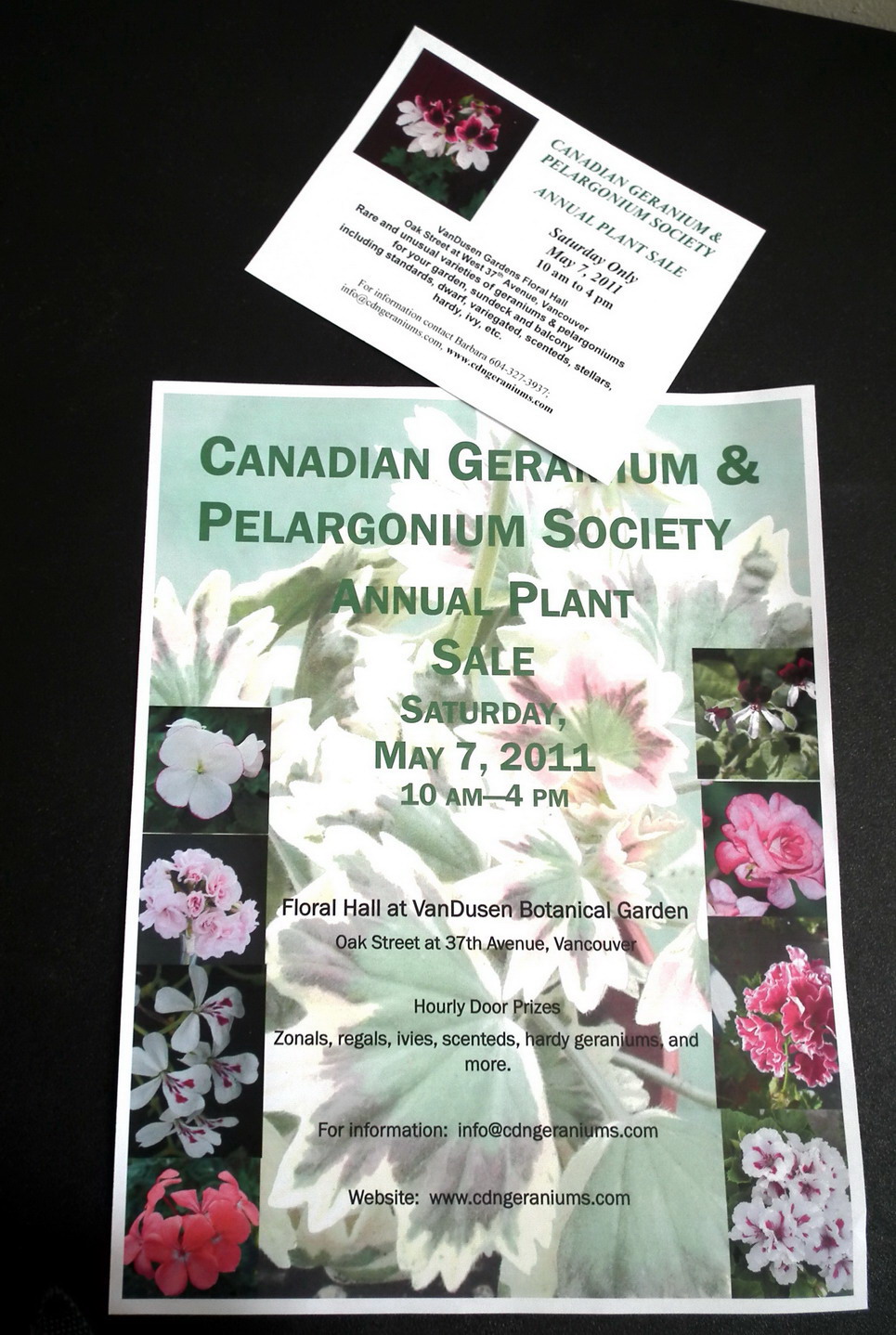 Scented Leaf 2011 Plant Sale of the Canadian Geranium and Pelargonium Society