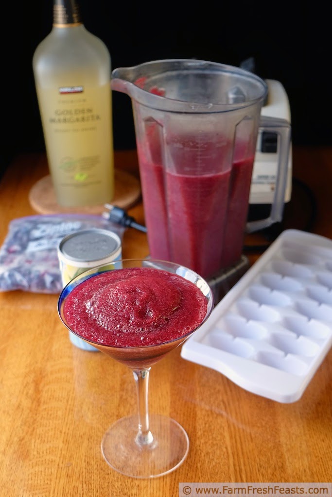 Farm Fresh Feasts Cheater Margarita Smoothies