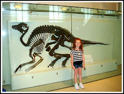 Museum of Natural History, NYC, NY