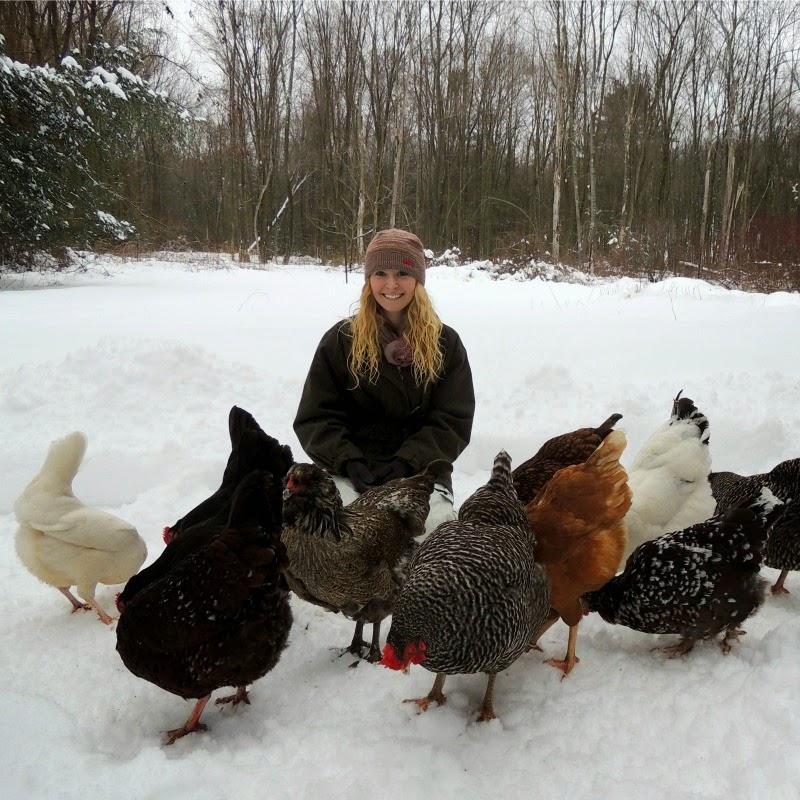 Linn Acres Farm Caring For Chickens in Winter