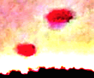 Jellyfish UFO Sighting Huge Jellyfish UFO's Caught Over Kentucky 2015, UFO Sightings