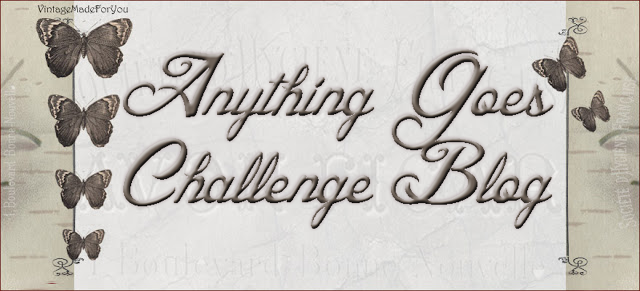 Anything Goes Challenge Blog