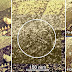Desclasifican Fotos de Venus de hace 30 años Desclasifican Fotos de Venus de hace 30 años
