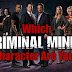 Criminal Minds :  Season 8, Episode 20