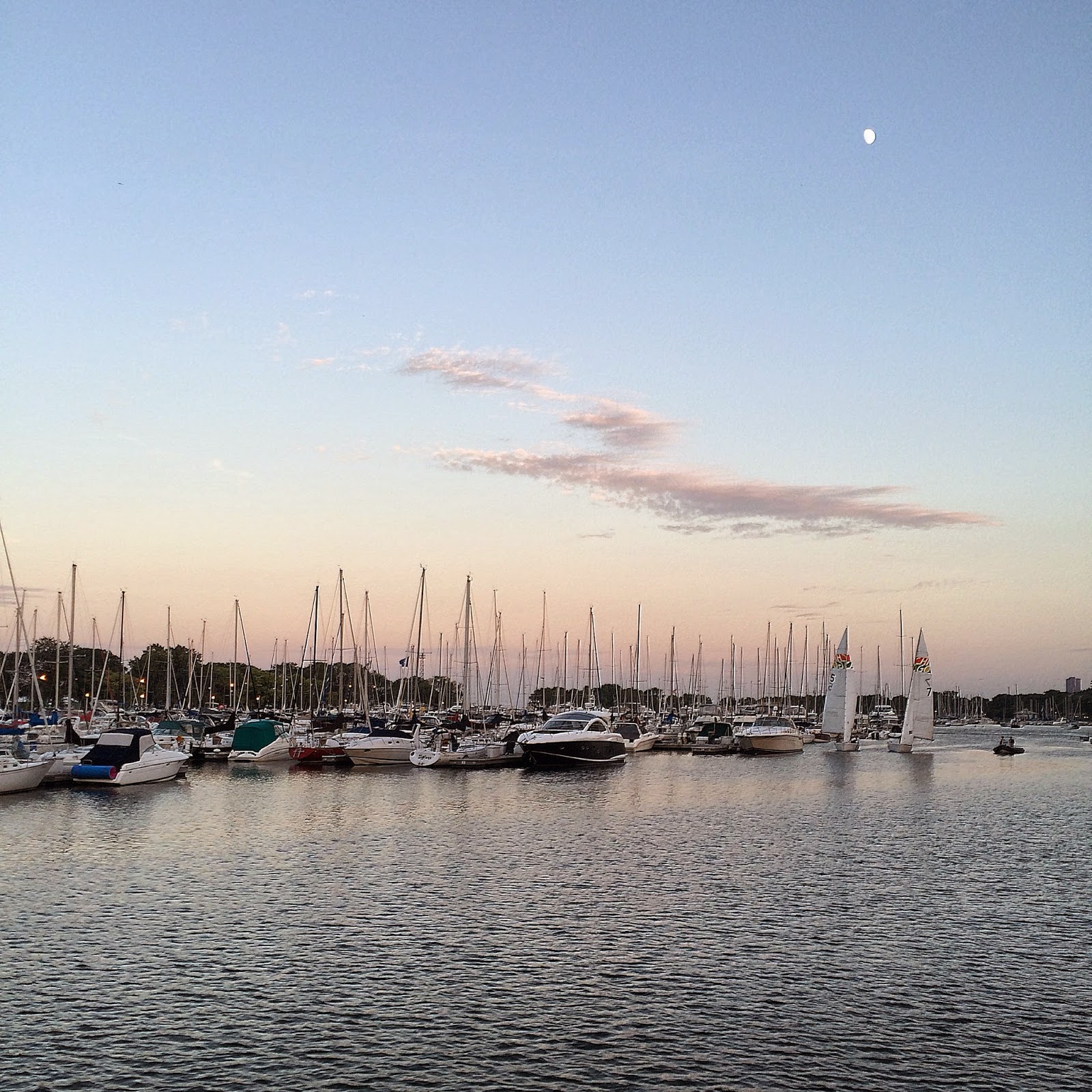 Cool Campus Cooking Acorn Investment App A Novel Idea