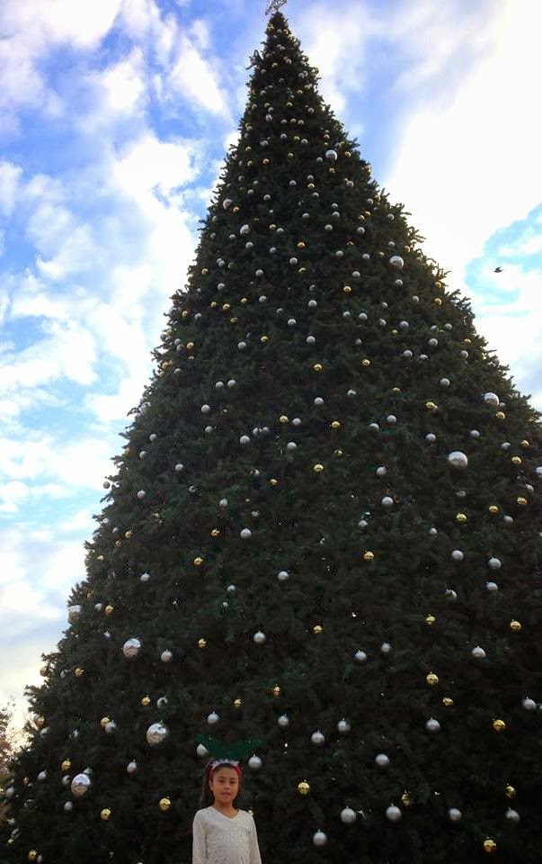 TexasSized Christmas Tree at Six Flags Fiesta Texas The Dias Family Adventures