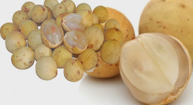 lukescollegelife bahaya buah duku bagi penderita benjolan lukescollegelife blogger