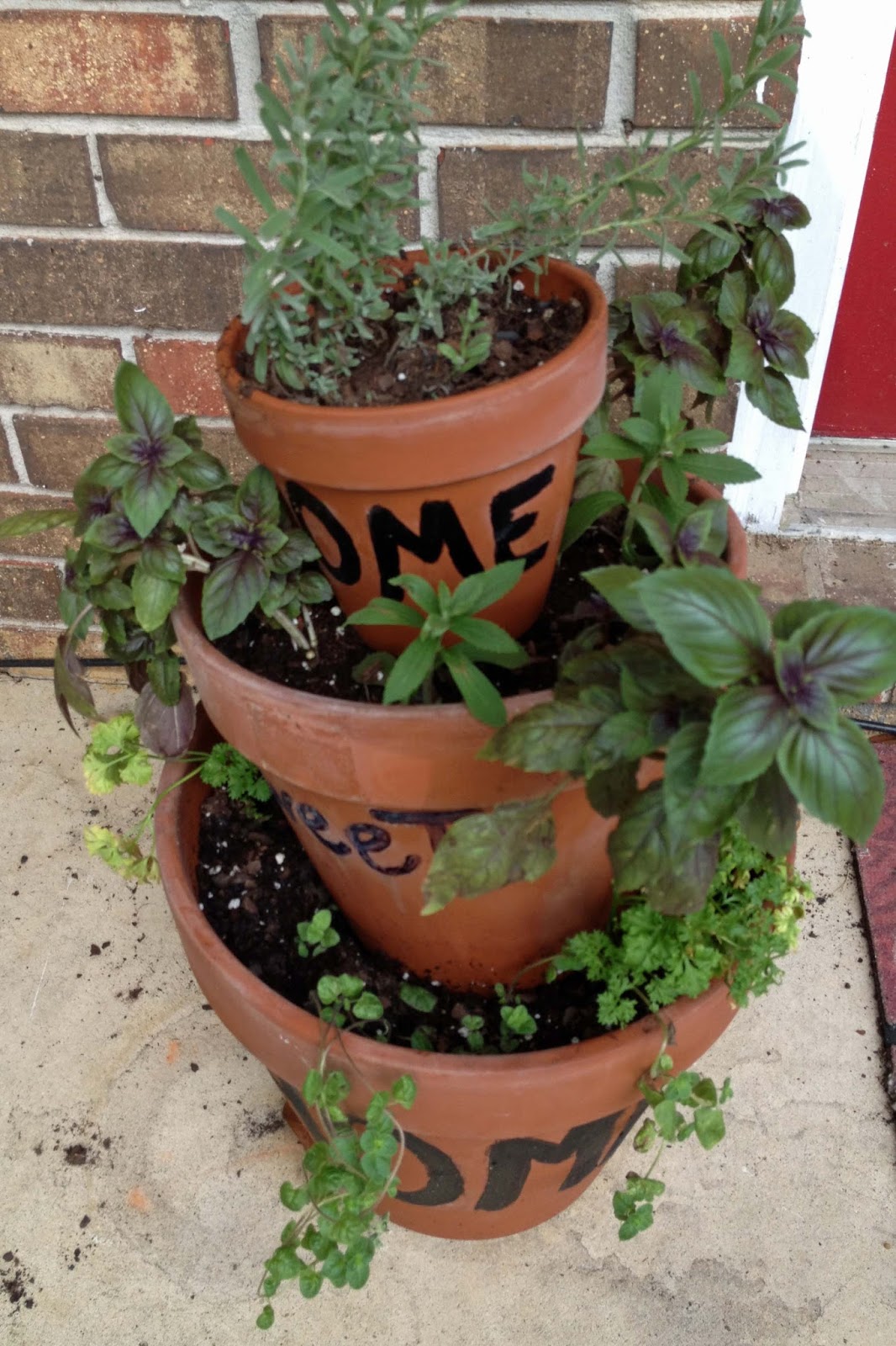 love to live in pensacola florida starting an herb garden in fl love to live in pensacola florida starting an herb garden in fl