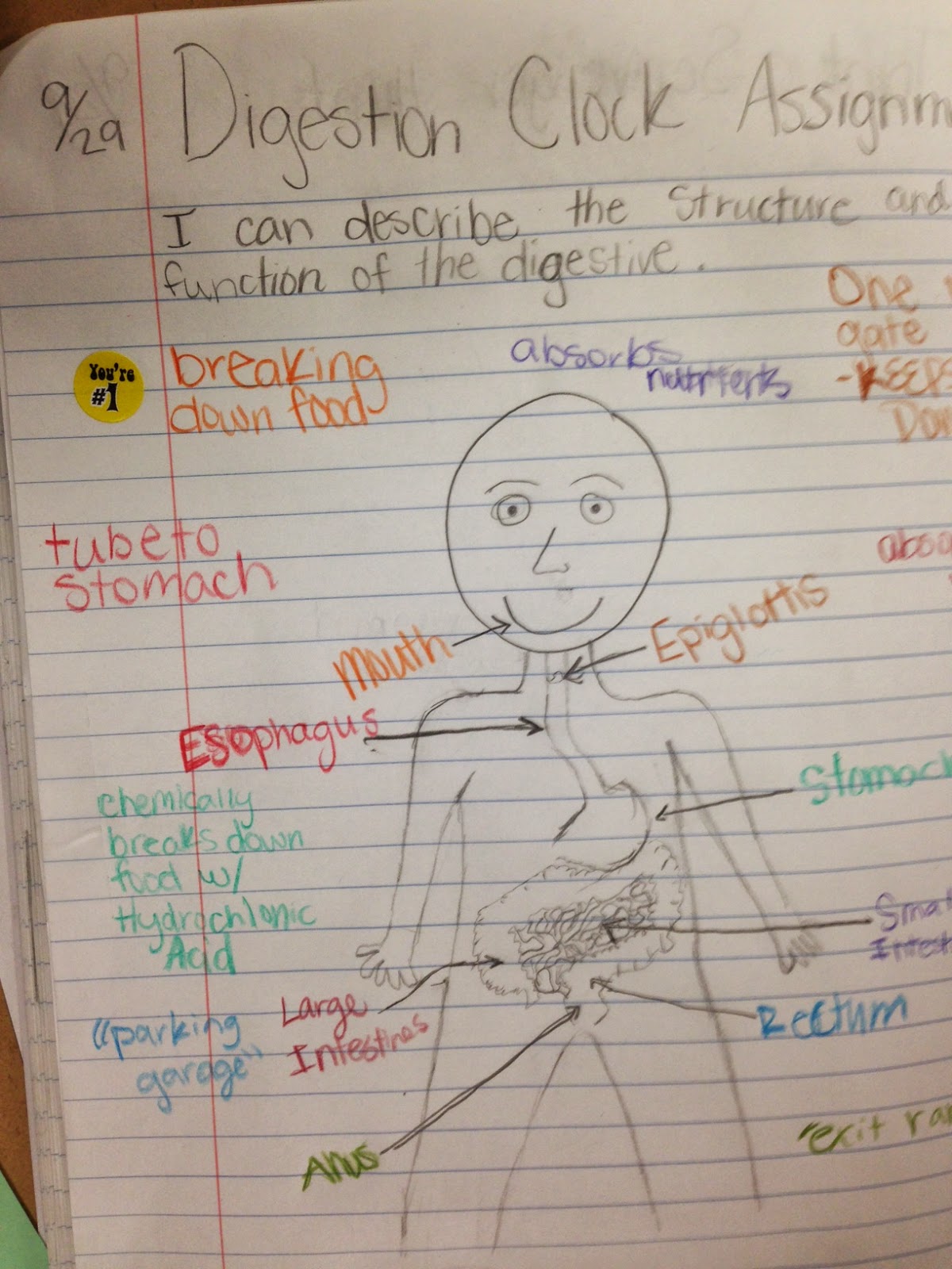 Comic Strip Of Digestive System - gxwxn9k