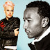 Don't give up - Pink, Herbie Herbie Hancock