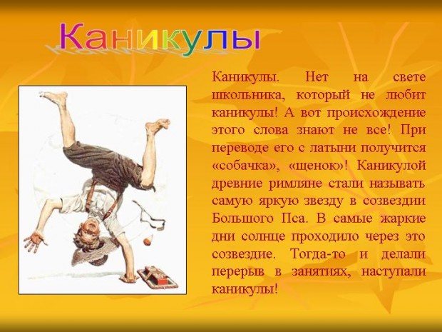 Картинки да здравствует лето Картинки да здравствует лето