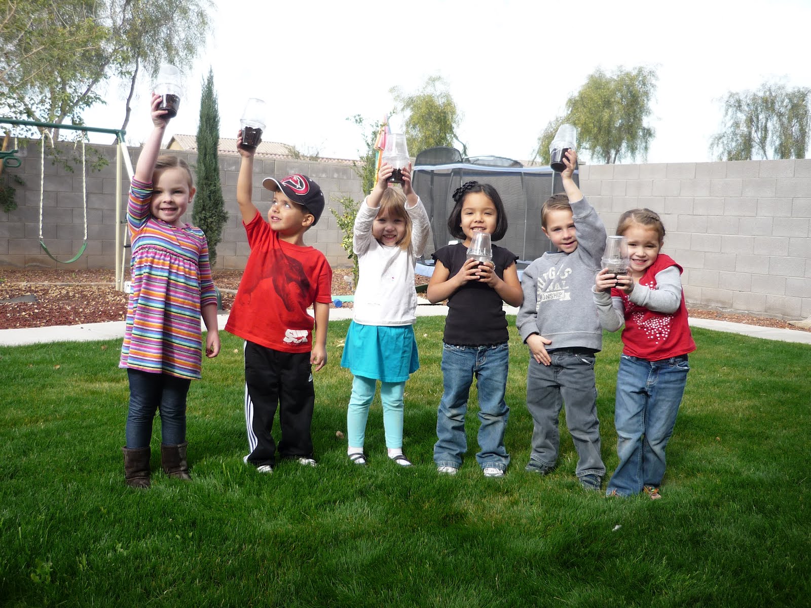 My Time & More Preschool: 4 layers of the rain forest
