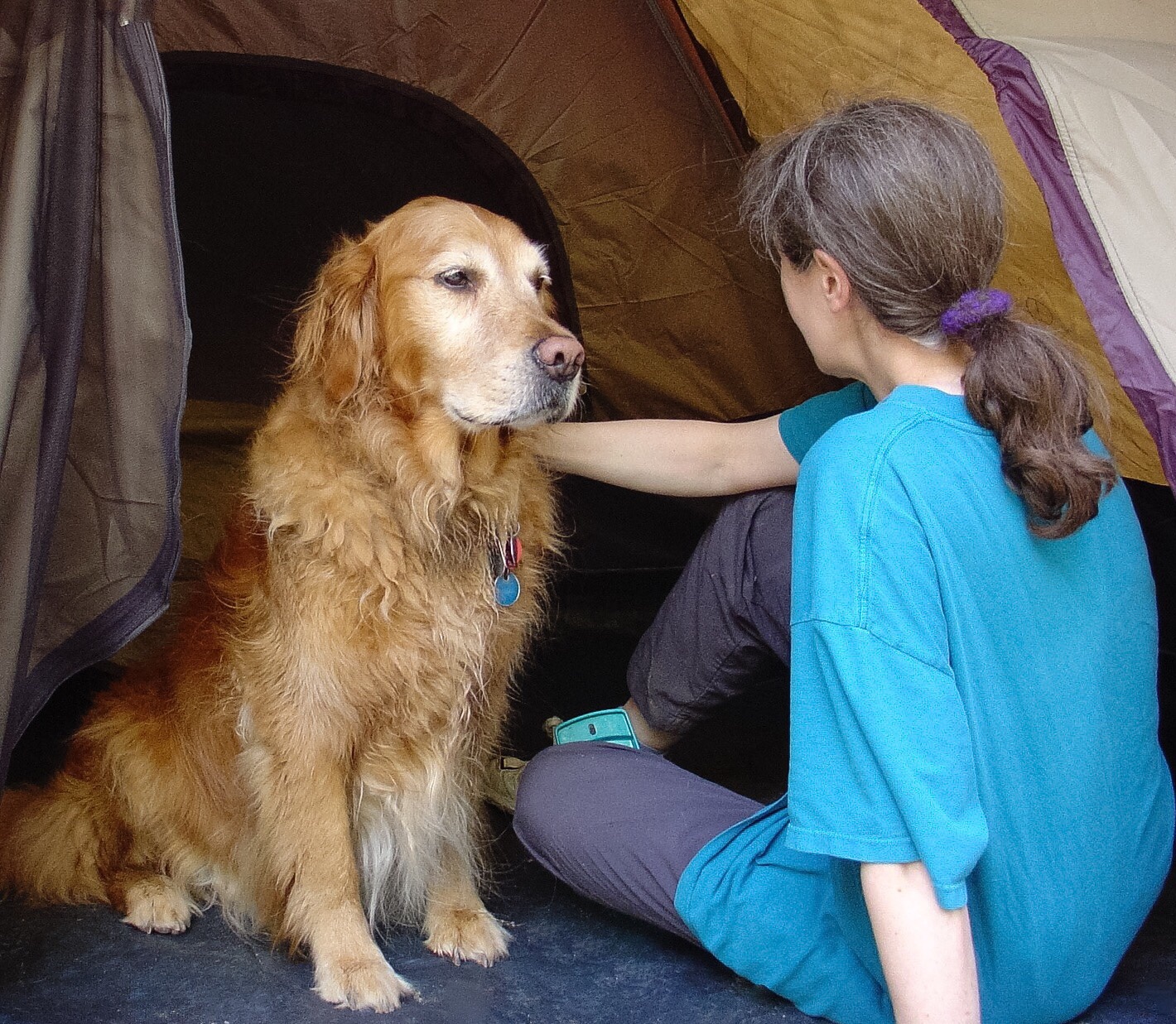 Nature and Biology Node Wax Worms and Moths Caterpillars That Digest