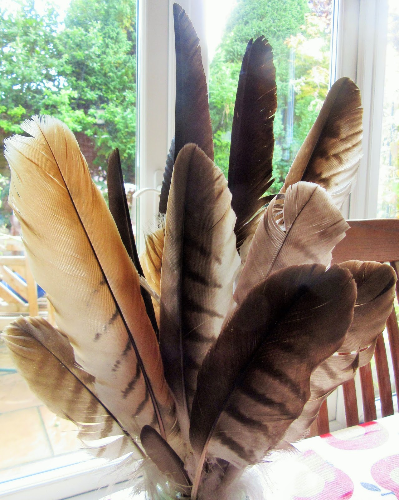 Bug Mad Girl A tickle of Red Kite feathers