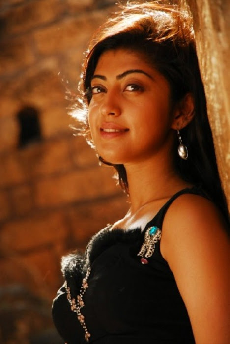 pranitha new , pranitha spicy actress pics